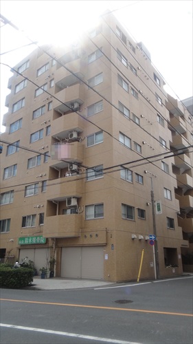ライオンズマンション隅田公園