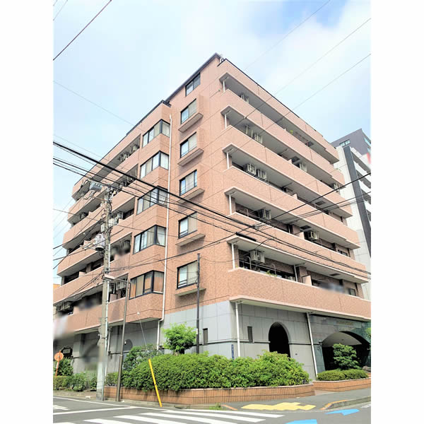 ライオンズマンション新大橋