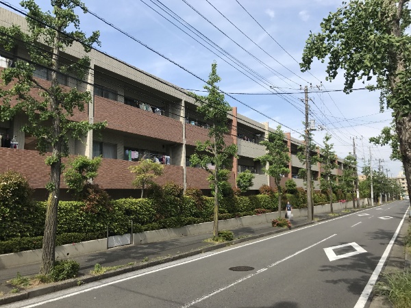 ヒルハイツ藤が丘弐番館