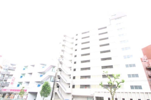 ニックハイム武蔵新田