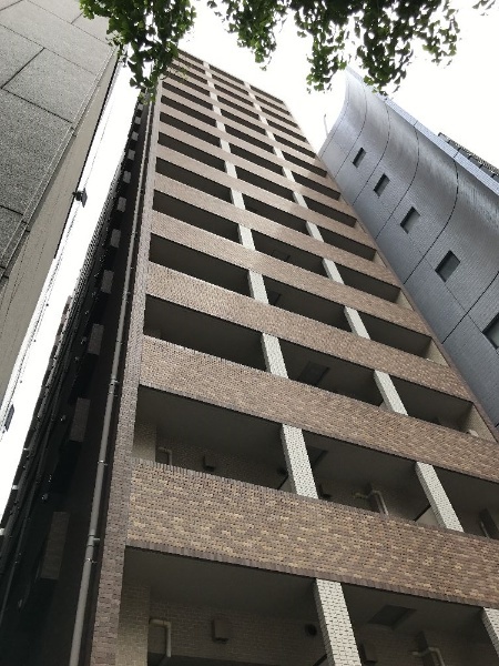 トーシンフェニックス芝アストラーレ