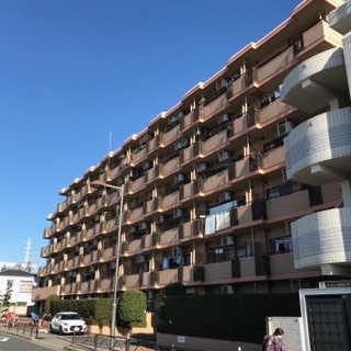 セザールお花茶屋