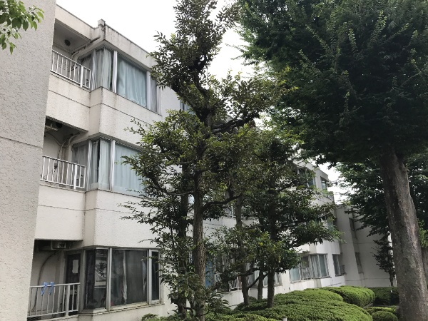 パイロットハウス北新宿