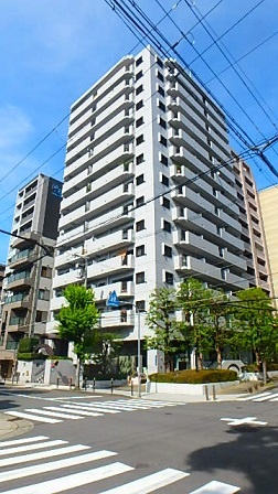 グラン・ドムール南大江パークタワー