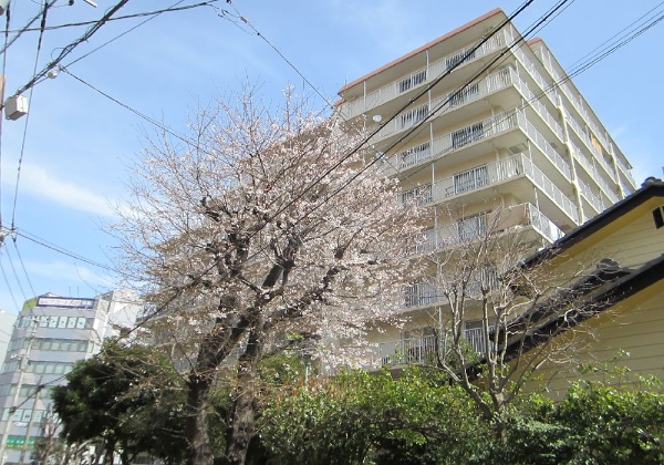 大宮吉敷町スカイハイツ