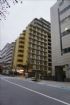 東京ベイビュウ