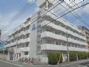 トップ金町