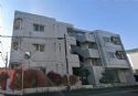 マドレーヌ子安町