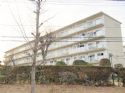 狭山台第一公団マンション第11号棟