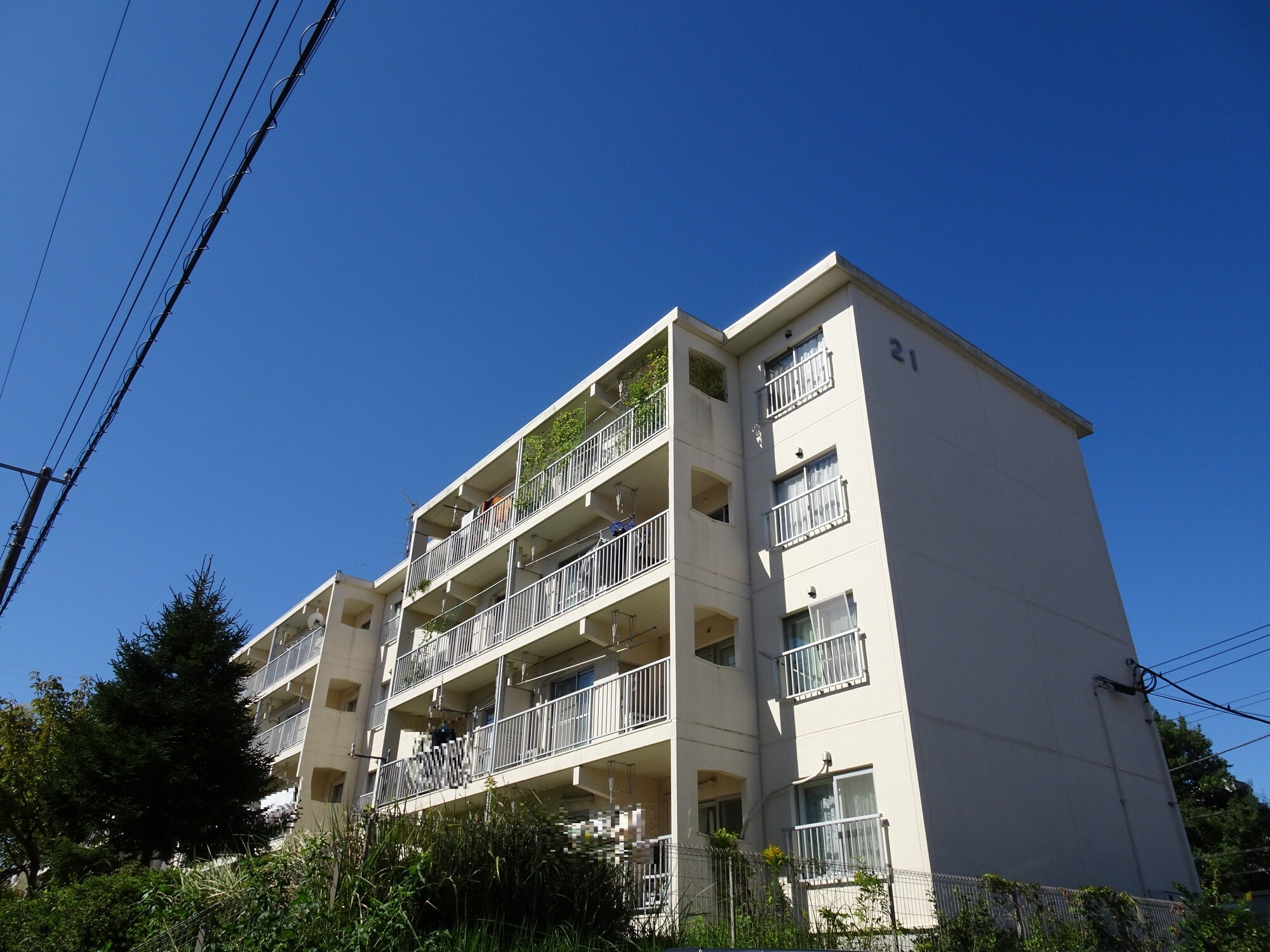 1133764：南長津田団地２１号棟：1920万円