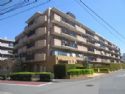 ドルミ中野弥生町