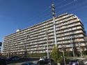 レックスタウン新高 2号館