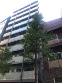 ディップス大山東町