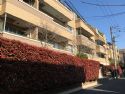 ヒルハイツ代官山