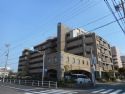 ライオンズマンション大江川緑地