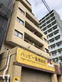 ストークマンション中延