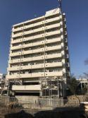 ソフィスティ城土