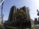 シティテラス名古屋代官町