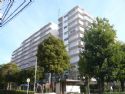 グリーンパーク上中里