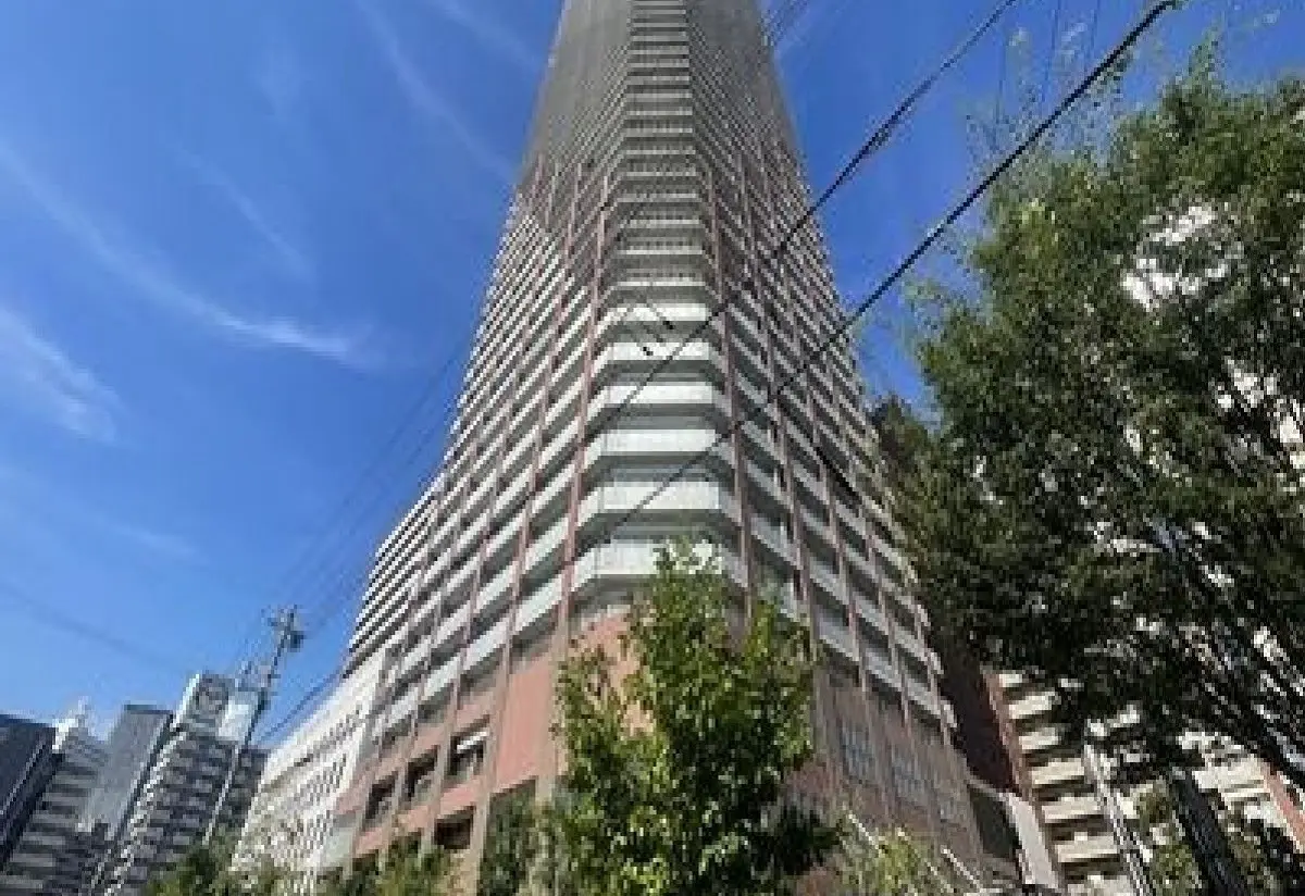 1108144：阿波座ライズタワーズフラッグ４６：8500万円