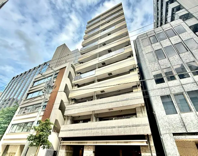 1119784：ザ・サンクレイドル日本橋レジデンス：13300万円