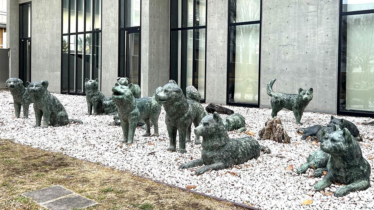 日本忠犬像的故事：「八公」並非唯一！ - JP-Home.com